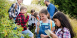 Children researching nature