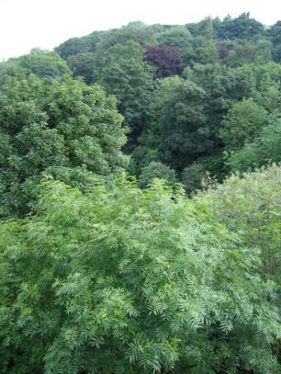 Pgds 20070830 145437 Jed 1165