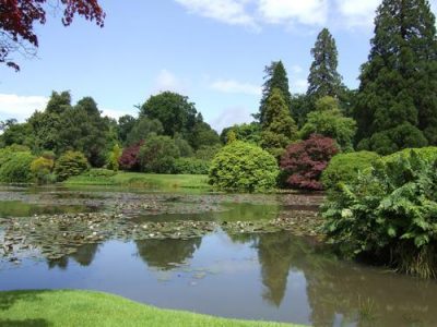 Pgds 20080717 115831 Sheffieldpark0009