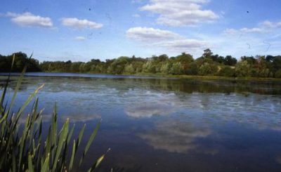 Pgds 20090123 120931 Acton Burnell Hal The Lake 1995