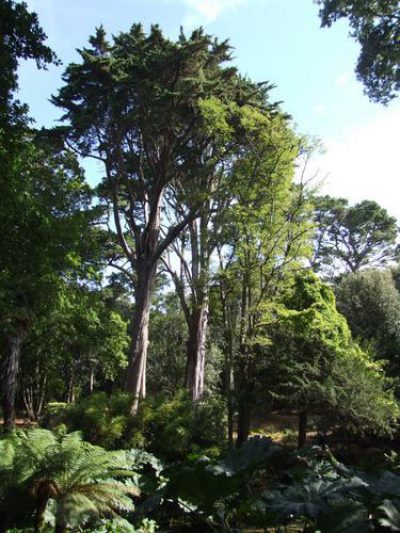 Pgds 20120120 135139 Abotsbury2