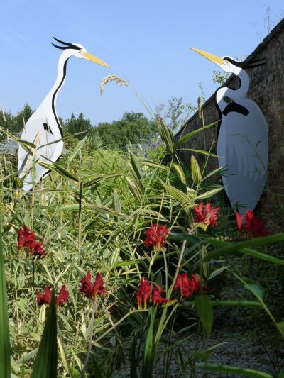 Pgds 20150728 111728 Giant Herons