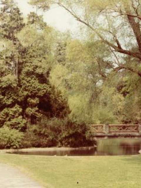 Royal Victoria Park, Bath | Parks and Gardens (en)